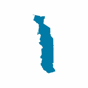 Togo Vizesi